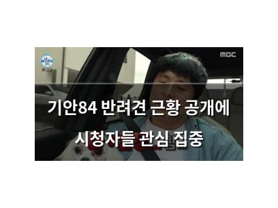 기안84 반려견 근황 공개에 시청자들 관심 집중 썸네일