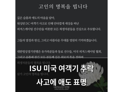 ISU 미국 여객기 추락 사고에 애도 표명 썸네일