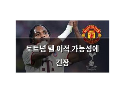 토트넘 텔 이적 가능성에 긴장 썸네일