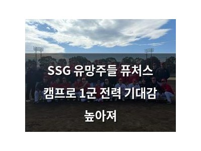 SSG 유망주들 퓨처스 캠프로 1군 전력 기대감 높아져 썸네일