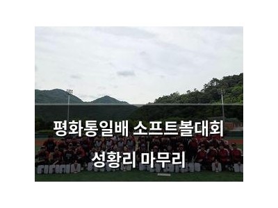 평화통일배 소프트볼대회 성황리 마무리 썸네일