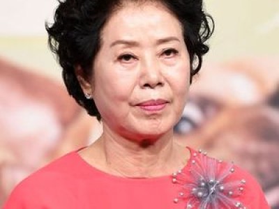 선우용여가 매니저 없이 임장 나선 이유 썸네일