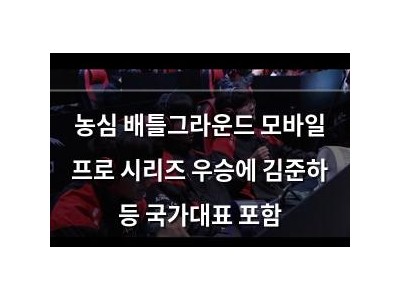 농심 배틀그라운드 모바일 프로 시리즈 우승에 김준하 등 국가대표 포함 썸네일