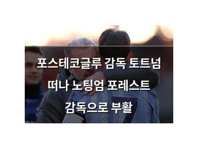 포스테코글루 감독 토트넘 떠나 노팅엄 포레스트 감독으로 부활 썸네일