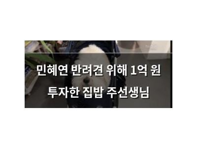 민혜연 반려견 위해 1억 원 투자한 집밥 주선생님 썸네일